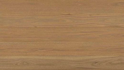 Clever Choice Shield Everlast Laminate Flooring 10mm Atlantic Spotted Gum flooring swatch