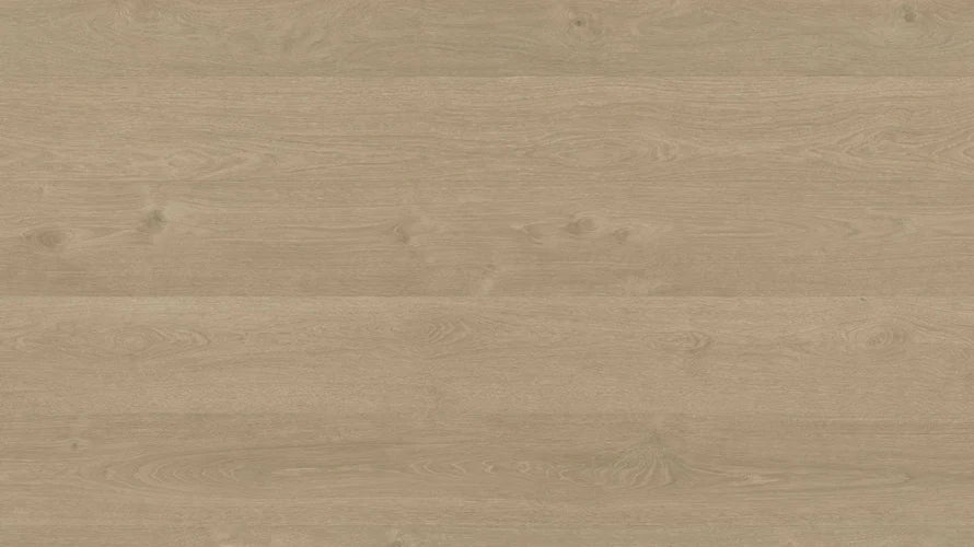 Clever Choice Shield Everlast Laminate Flooring 10mm Coffee Bean Trivia flooring swatch