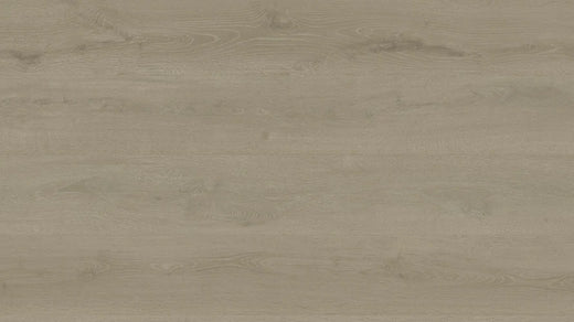 Clever Choice Shield Everlast Laminate Flooring 10mm Lettered Olive flooring swatch
