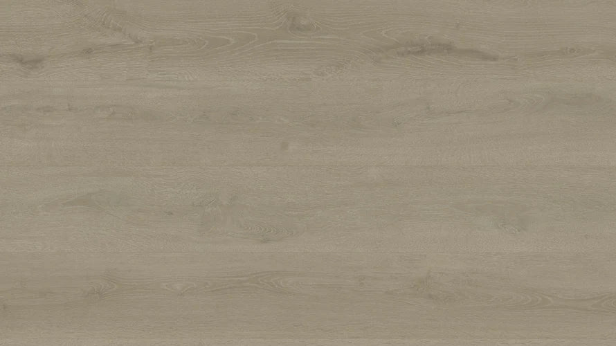 Clever Choice Shield Everlast Laminate Flooring 10mm Lettered Olive flooring swatch