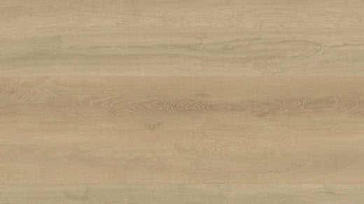Clever Choice Shield Everlast Laminate Flooring 10mm Zebra Ark flooring swatch