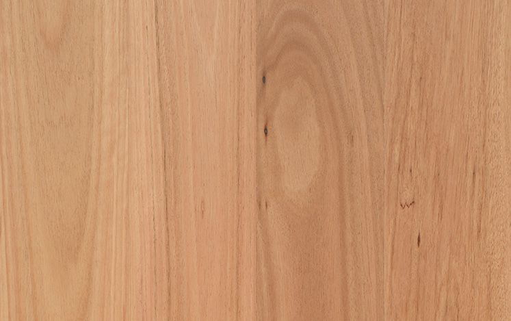 Australian Select Timber Opulence Native Collection Timber 14/3mm 180mm wide