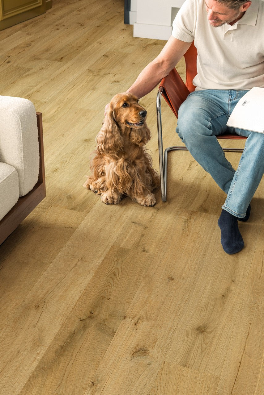 Premium Floors Quick-Step Impressive Laminate 8mm