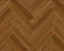 Queensland Spotted Gum