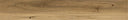 Spotted Gum