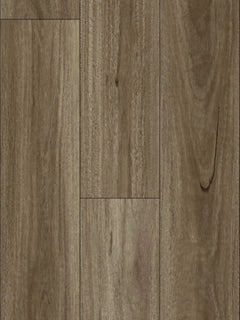 Spotted Gum flooring colour