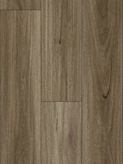 HTT AquaGlow AC5 Laminate Flooring 12mm Spotted Gum Swatch