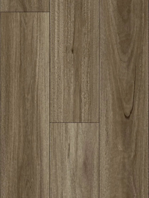 HTT AquaGlow AC5 Laminate Flooring 12mm Spotted Gum Swatch