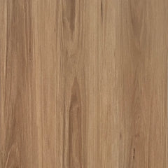 Blackbutt flooring colour