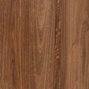 Queensland Spotted Gum