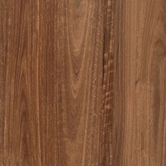 Queensland Spotted Gum flooring colour