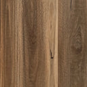 Spotted Gum