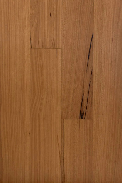 HTT Eucaly Engineered Hardwood Flooring 5G 14/3mm Blackbutt Swatch