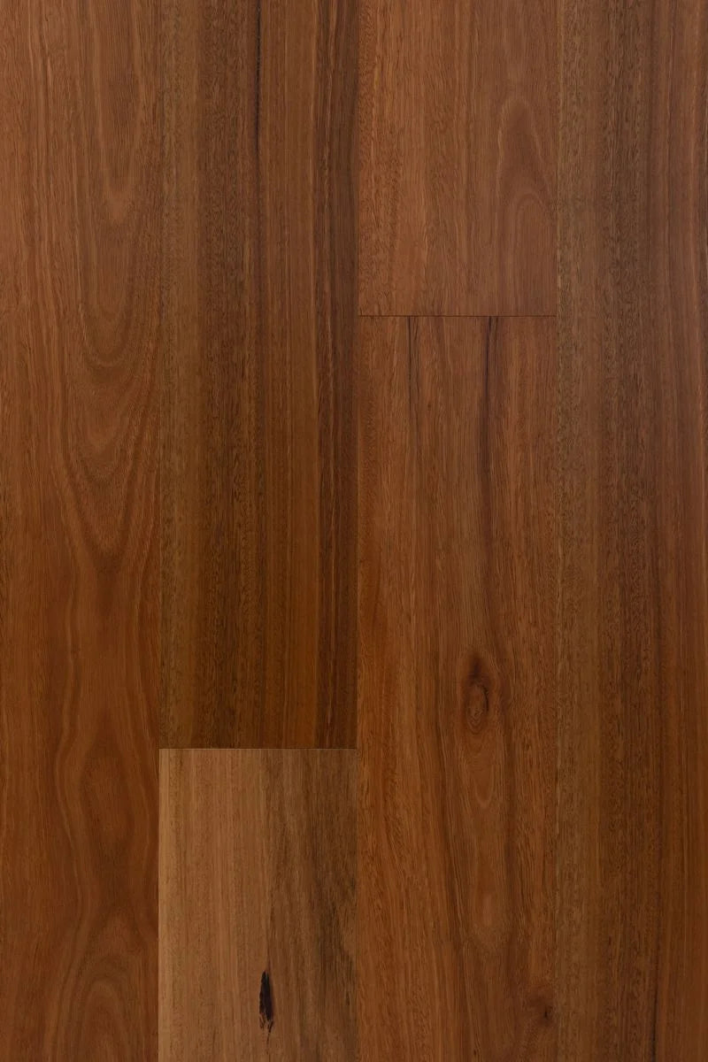 HTT Eucaly Engineered Hardwood Flooring 5G 14/3mm Spotted Gum Swatch