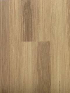 Blackbutt flooring colour