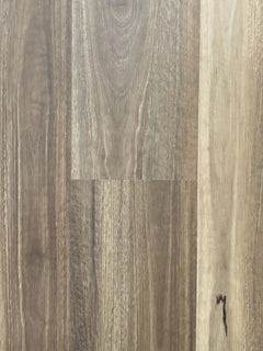 Spotted Gum flooring colour