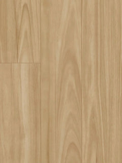 Blackbutt flooring colour
