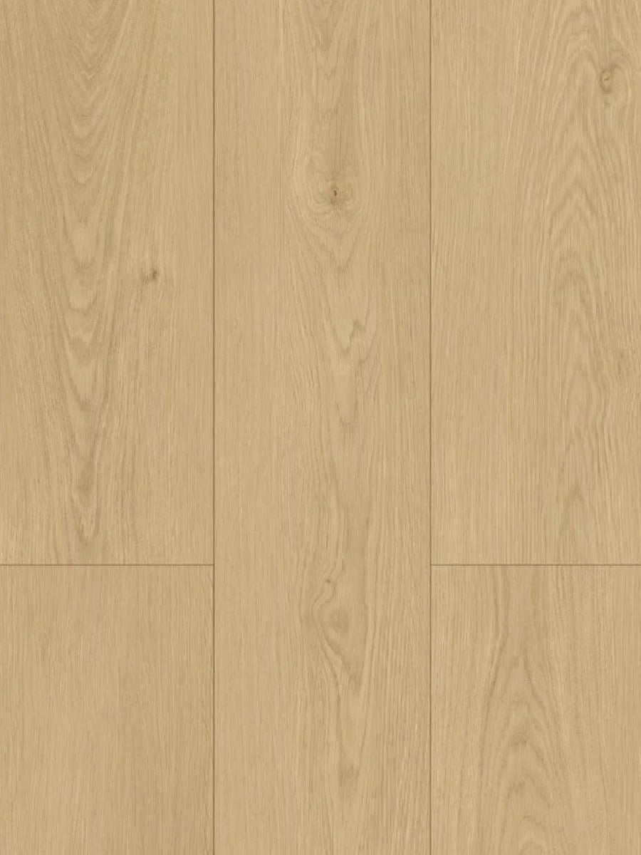 HTT Hydrocore AC4 Laminate Flooring 8mm Fortune Cookie Swatch