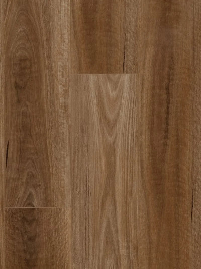 HTT Hydrocore AC4 Laminate Flooring 8mm Spotted Gum Swatch