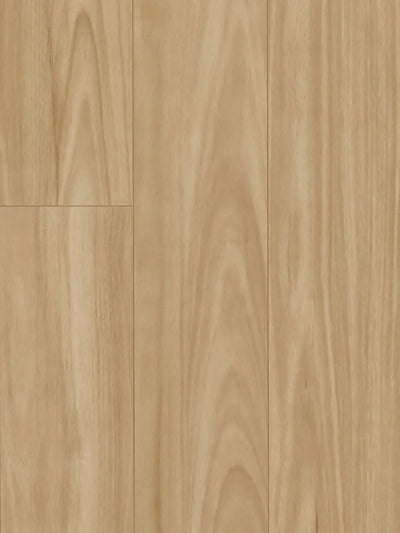 HTT MTF AC4 Laminate Flooring 12mm Blackbutt Swatch