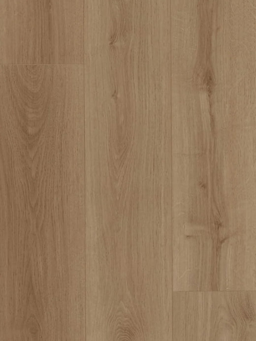 HTT MTF AC4 Laminate Flooring 12mm Desert Natural Swatch