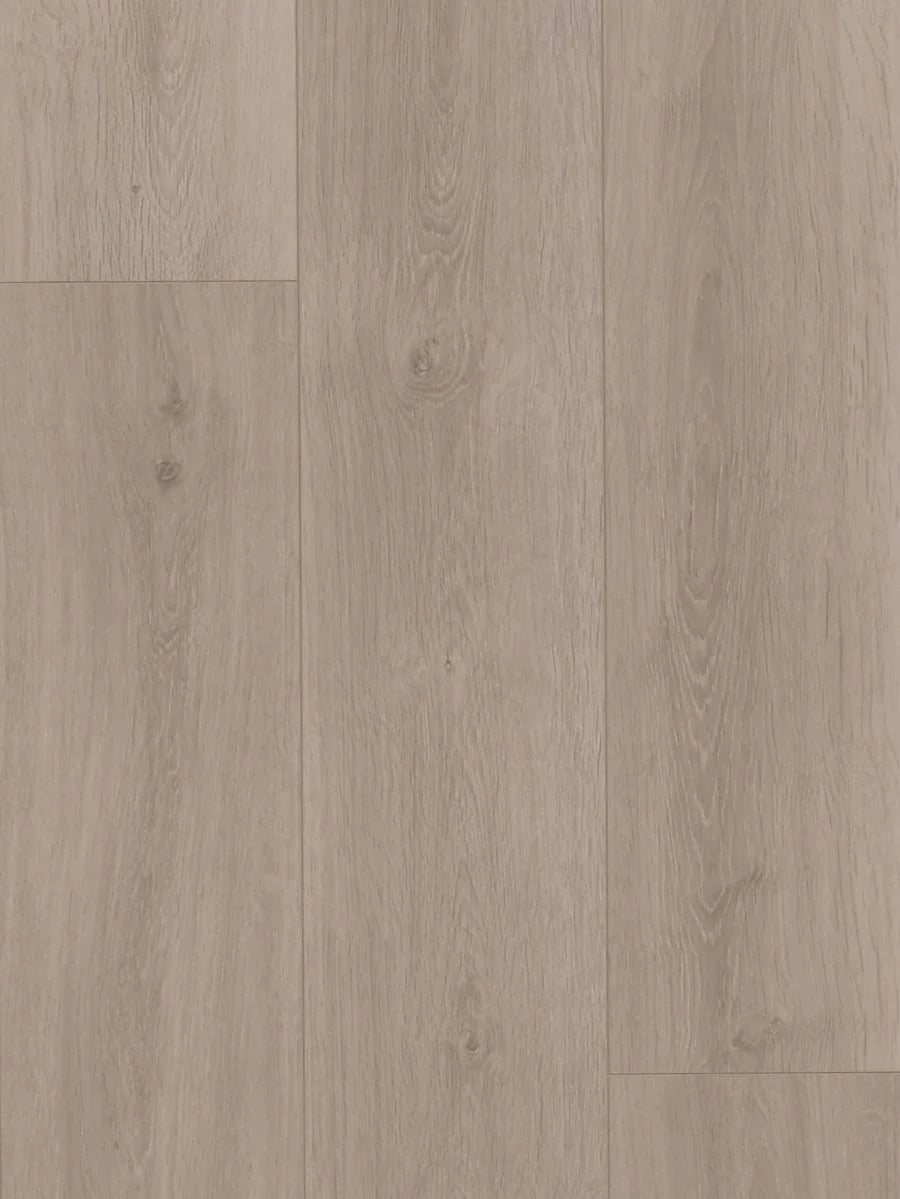 HTT MTF AC4 Laminate Flooring 12mm Driftwood Swatch