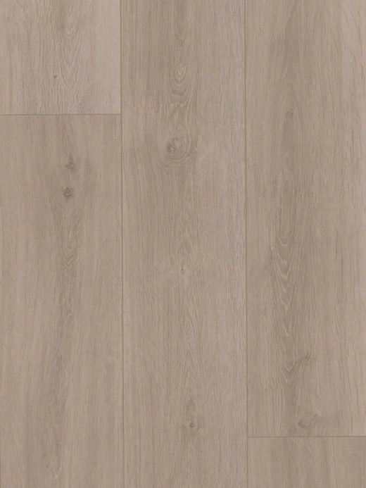 HTT MTF AC4 Laminate Flooring 12mm Driftwood Swatch