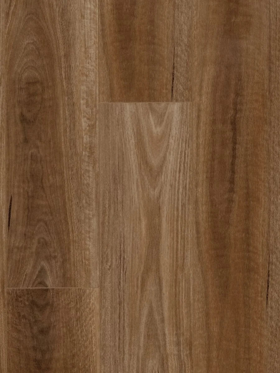 HTT MTF AC4 Laminate Flooring 12mm Spotted Gum Swatch