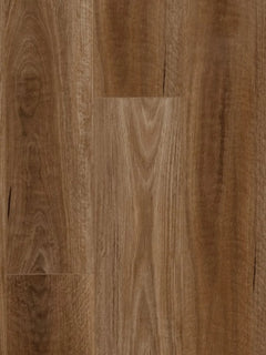 Spotted Gum flooring colour