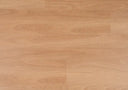 NSW Spotted Gum