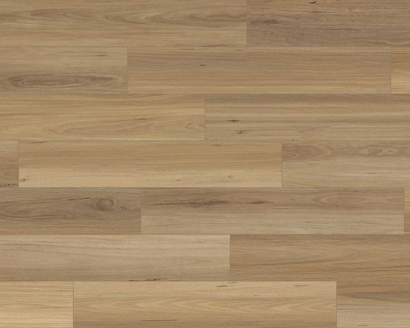 Pallas Deluxe Hybrid Flooring 7.5mm Coastal Blackbutt Swatch