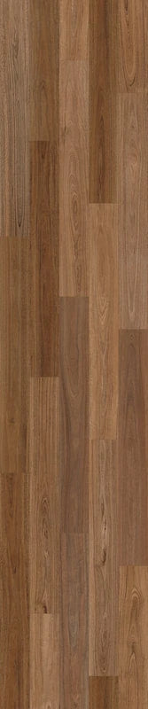 Rich Spotted Gum flooring colour