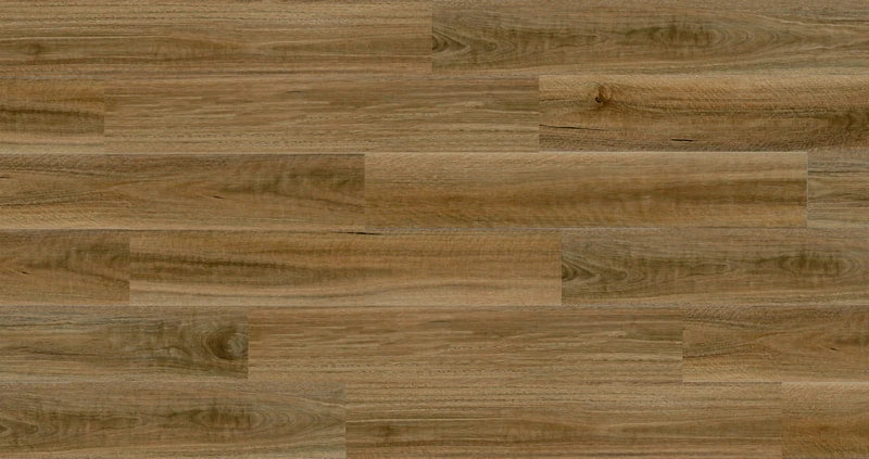 Pallas Ultimate Hybrid Flooring 9mm Spotted Gum Swatch