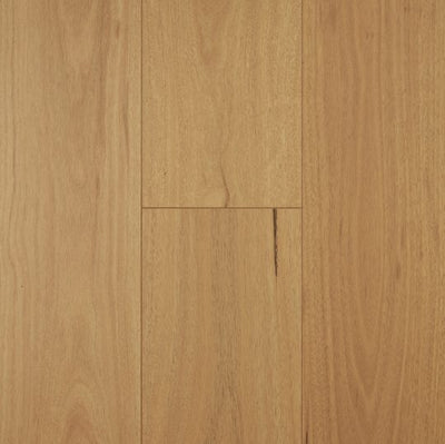 Preference Aspect Australian Timber Laminate AC4 12mm 194mm – Blackbutt Swatch