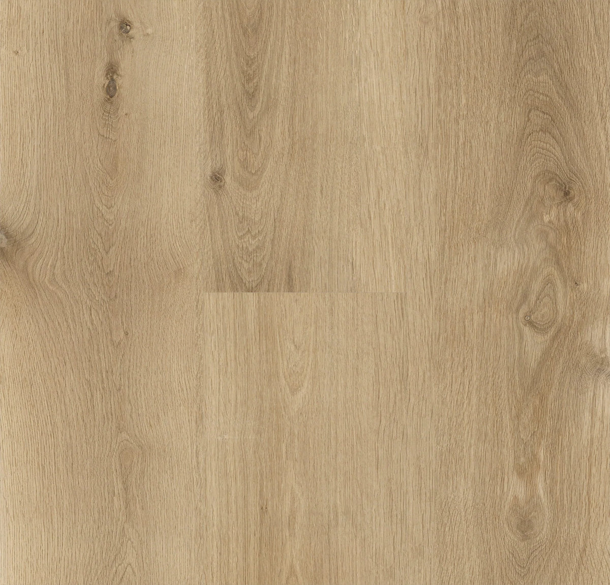 Preference Aspire RCB Contemporary Decors Hybrid Flooring 8mm Chicory Swatch