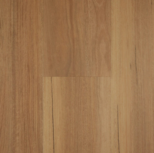 Classic Spotted Gum