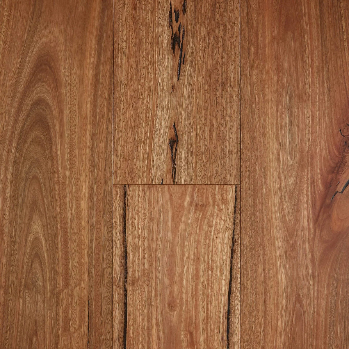 Preference Fiddleback Australian Hardwood Rustic Engineered Timber Flooring 14/3mm 189mm Rustic Spotted Gum Swatch