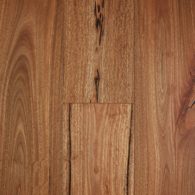 Preference Fiddleback Australian Hardwood Rustic Engineered Timber Flooring 14/3mm 189mm Rustic Spotted Gum Swatch