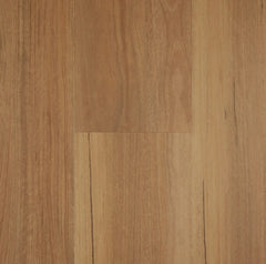 Spotted Gum flooring colour