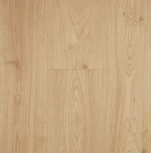 Preference Oakleaf AC3 Laminate Flooring 8mm Barley Husk Swatch