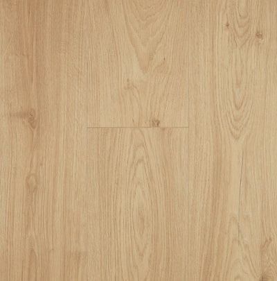Preference Oakleaf AC4 Laminate Flooring 12mm Barley Husk Swatch