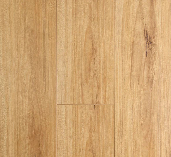 Preference Oakleaf AC4 Laminate Flooring 12mm Blackbutt Swatch