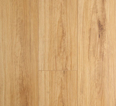 Preference Oakleaf AC4 Laminate Flooring 12mm Blackbutt Swatch