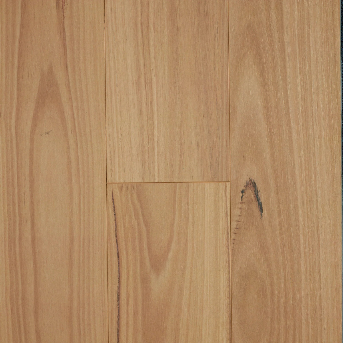 Preference Oakleaf HD PLUS AC4 Laminate Flooring 8mm Blackbutt Swatch