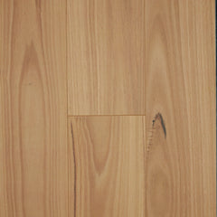 Blackbutt flooring colour