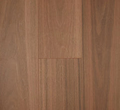 Spotted Gum flooring colour