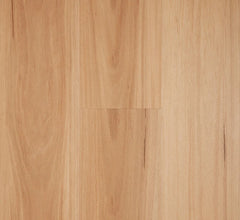 Blackbutt flooring colour