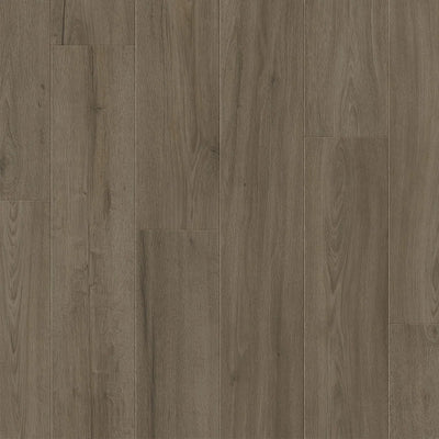 Premium Floors Clix Plus Laminate Flooring 8mm - Feather Grey Oak swatch