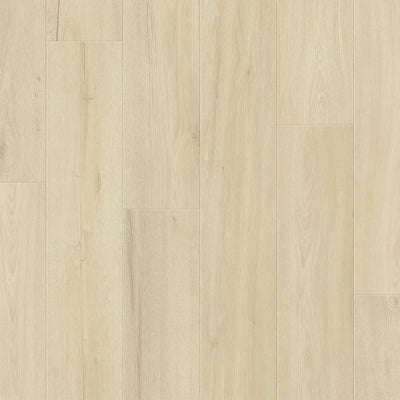 Premium Floors Clix Plus Laminate Flooring 8mm - Limestone Oak swatch