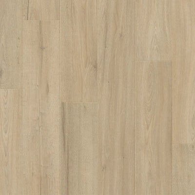 Premium Floors Clix Plus Laminate Flooring 8mm - Satin Beige Oak swatch